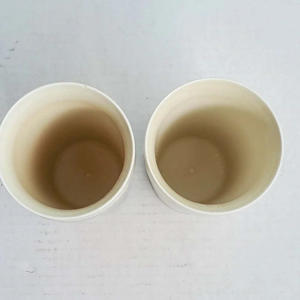 Vintage 1980 Thermo-Serv Floral Insulated Tumblers Set 2 Dart Ind Lily Daffodil
